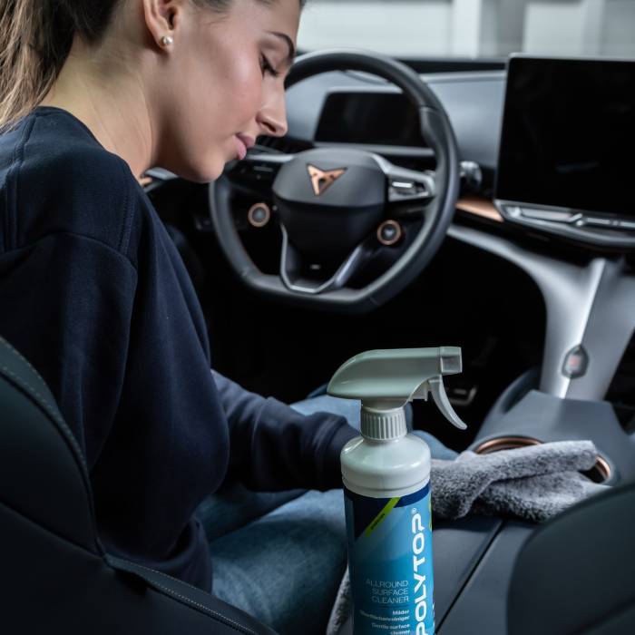 Allround Surface Cleaner 10 L